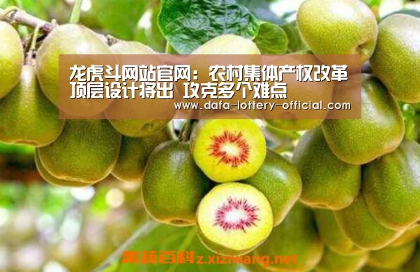 龙虎斗网站APP下载