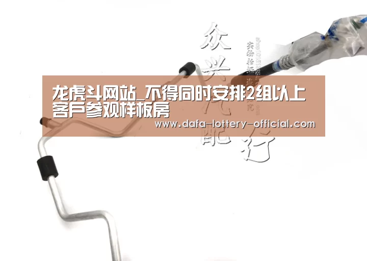 龙虎斗网站APP下载