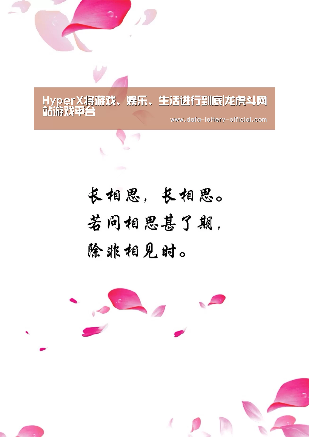 龙虎斗网站官网