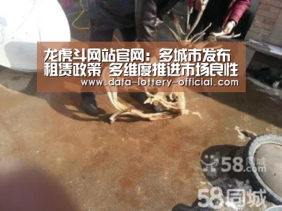 龙虎斗网站官网:多城市发布租赁政策 多维度推进市场良性发展(图1) 龙虎斗网站官网