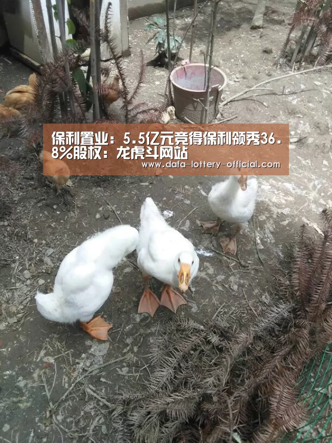 保利置业:5.5亿元竞得保利领秀36.8%股权:龙虎斗网站(图2) 龙虎斗网站官网