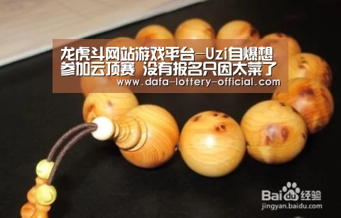 龙虎斗网站APP下载
