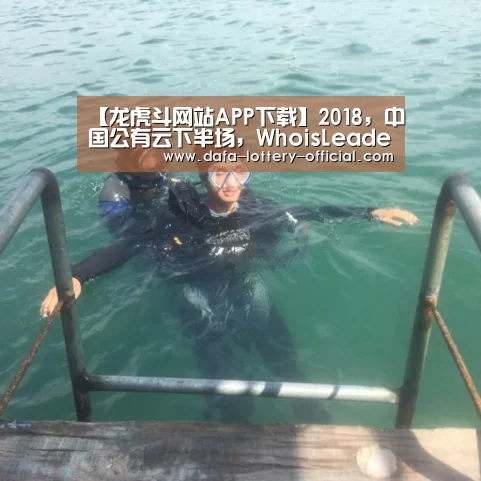 龙虎斗网站
