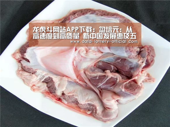 龙虎斗网站APP下载:忽培元:从高速度到高质量 新中国发展惠及五大方面(图3) 龙虎斗网站