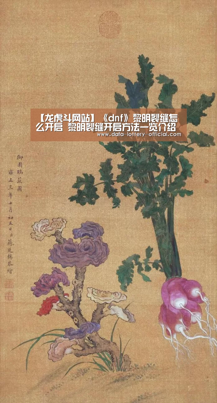 龙虎斗网站游戏平台