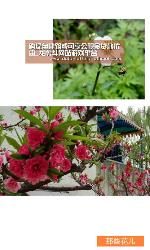 购绿色建筑或可享公积金贷款优惠_龙虎斗网站游戏平台(图1) 龙虎斗网站APP下载