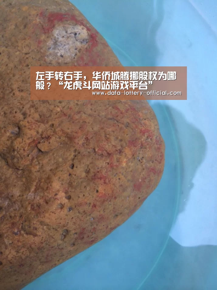 龙虎斗网站游戏平台