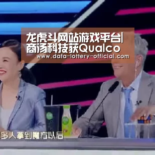 龙虎斗网站
