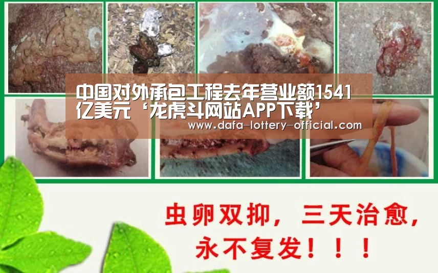 龙虎斗网站APP下载