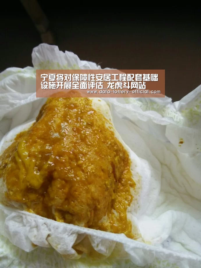 宁夏将对保障性安居工程配套基础设施开展全面评估_龙虎斗网站(图3) 龙虎斗网站