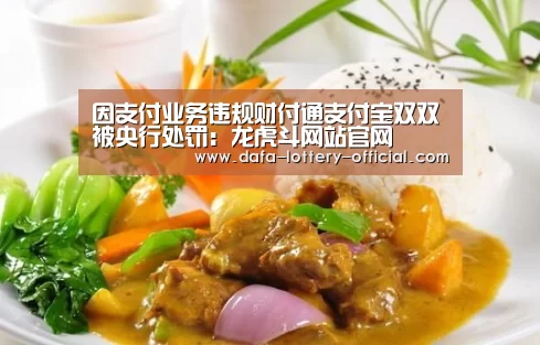 因支付业务违规财付通支付宝双双被央行处罚:龙虎斗网站官网(图3) 龙虎斗网站