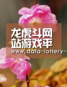 龙虎斗网站官网